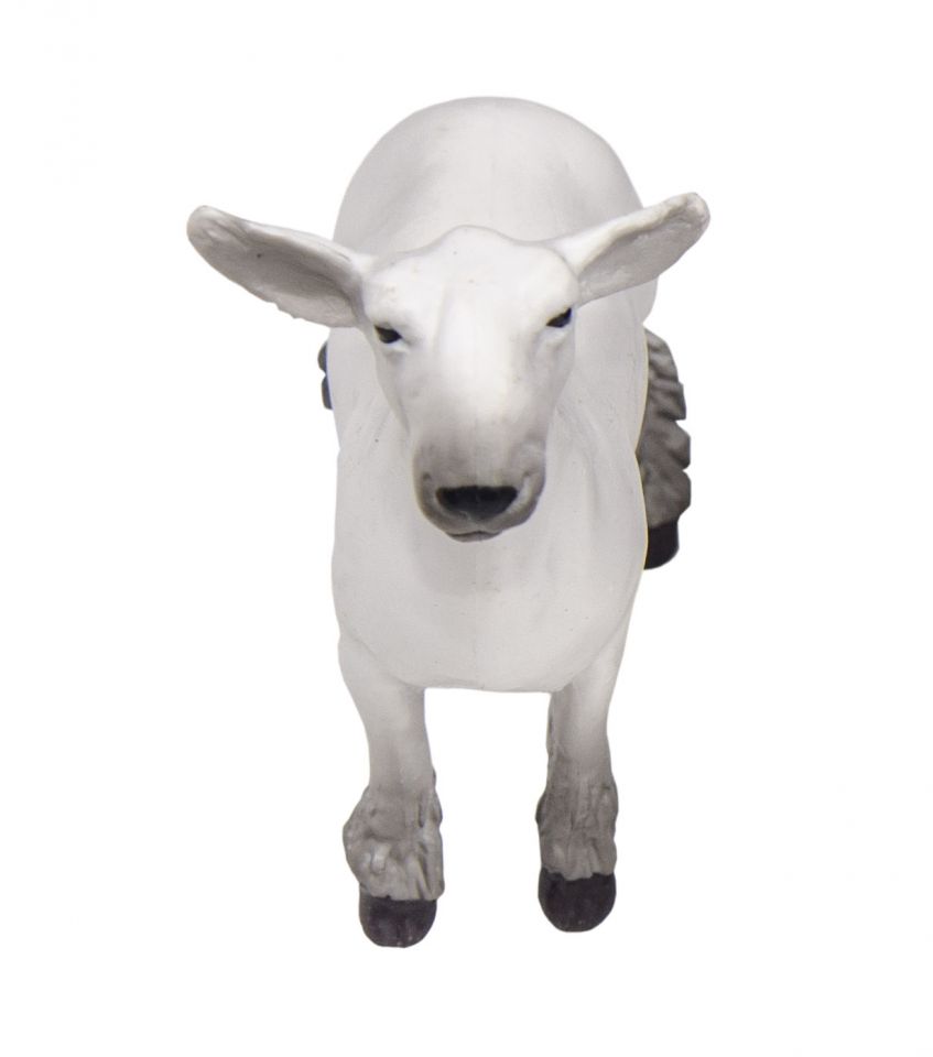 Champion Dorset Market Lamb Toy | 1/16 Scale Show Sheep – Little